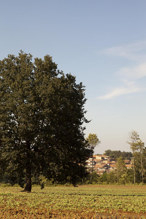 Agriturismo Creta Rossa Torre di Ruggiero Eksteriør bilde